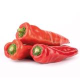 Spitzpaprika, rot