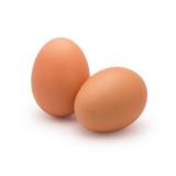 Eier 10 Stück aus ökol. Erzeugung