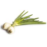 Gemüsezwiebel mit Grün