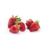Erdbeeren 250 g (Europa)