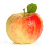 Apfel der Woche 2. Sorte