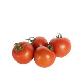 Tomaten