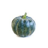 Kürbis Futsu Black