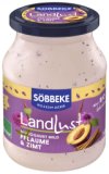 Joghurt Pflaume-Zimt 3,8% (Saison)