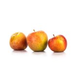 Apfel "Wellant"