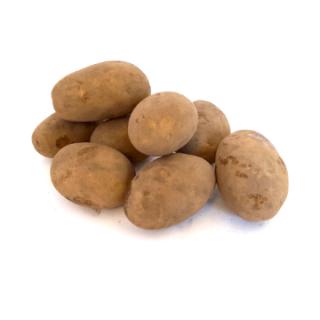 Kartoffeln "Belana"