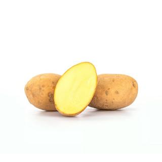 5 kg-Sack Kartoffeln "Annabelle"