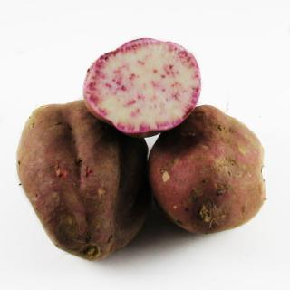 Süßkartoffeln violett
