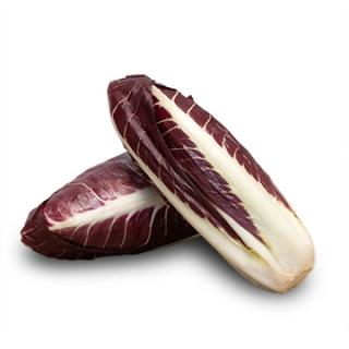 Radicchio lang Treviso