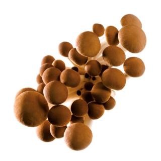Samthauben