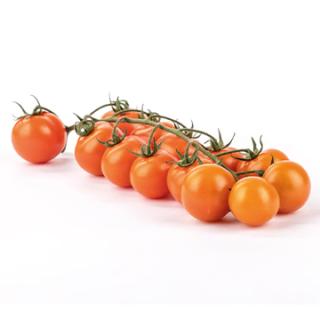 Cherrystrauchtomaten