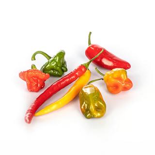 Chili Mix