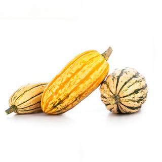 Kürbis Delicata