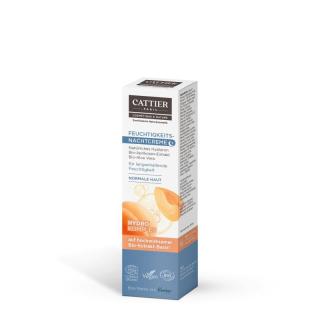 Feuchtigkeits Nachtcreme