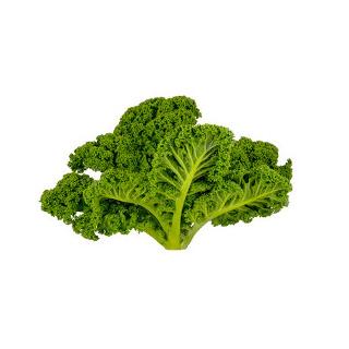 Grünkohl