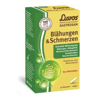Heilerde Gastrosan Kapseln Blähungen, Schmerzen