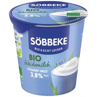 Joghurt natur 3,8% im Becher