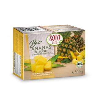 TK Ananas Stücke
