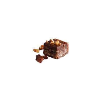 Oriental Hazelnut (4 Stück)