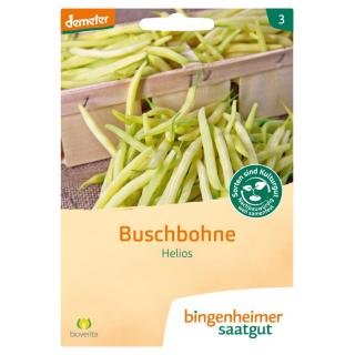 Saat Buschbohne "Helios"