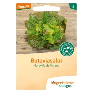 Saat Bataviasalat "Maravilla de Ver"