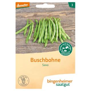 Saat Buschbohne "Saxa, grün"