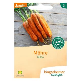 Saat Möhre "Milan"