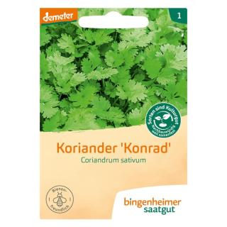 Saat Koriander