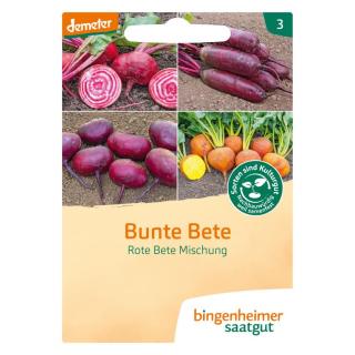 Saat Bunte Bete Mischung