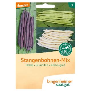 Saat Stangenbohnenmix gelb/lila/grü