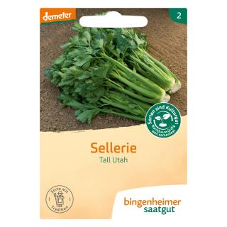 Saat Stangensellerie "Tall Utah"