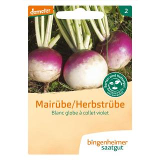 Saat Mairübe "Blanc globe à collet"