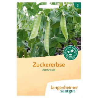 Saat Zuckererbse "Ambrosia"