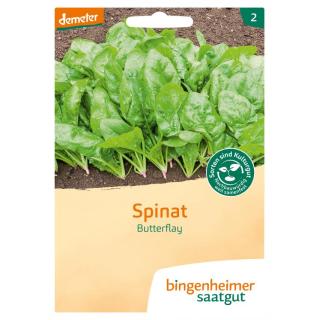 Saat Spinat "Butterflay"