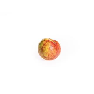 Apfel "Gravensteiner"