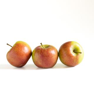 Apfel "Ambassy"