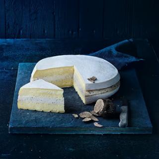 Damse Trüffelbrie 50% Fett i. Tr.