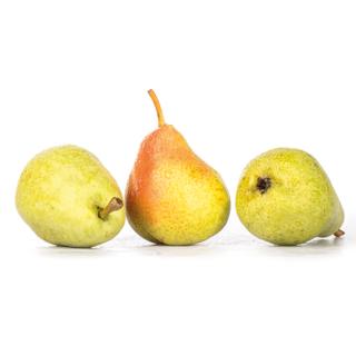 Birne "Guyot"