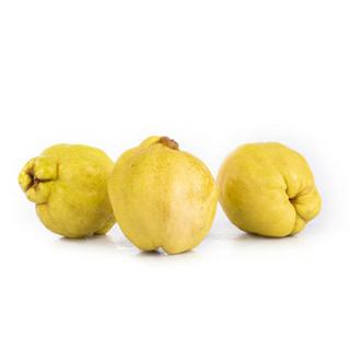 Quitten