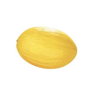 Honigmelone "Gialetto"