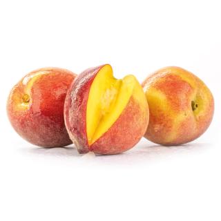Pfirsiche "Percoca/Romea" (PfirsichXAprikose)