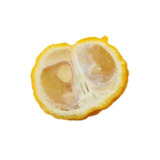 Yuzu (japanische Zitrone)