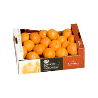 Clementinen 1,5kg-Kistchen