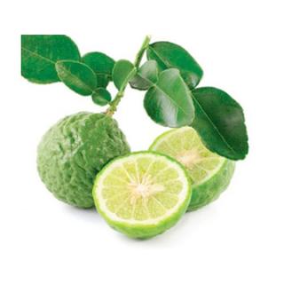 Combava Limette (Kafirlimette)