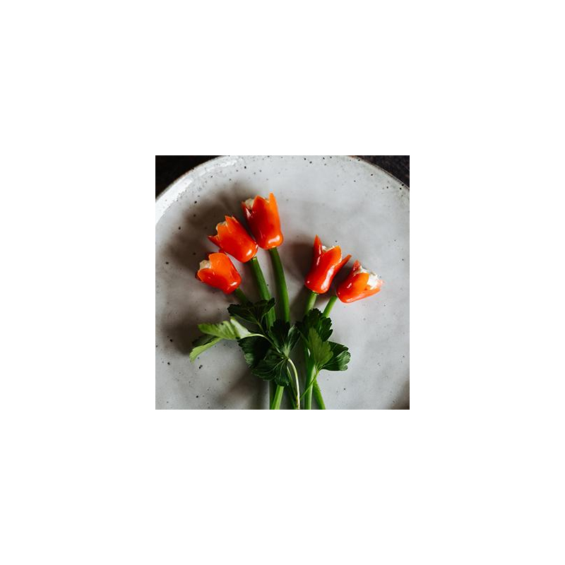 Kirschtomaten-Tulpen (20  St.)