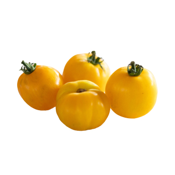 Tomaten gelb "Zebrago SF"