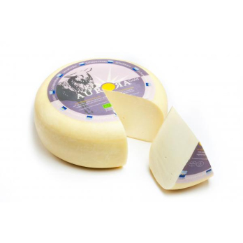 Schafgouda jung, eingeschweißt
