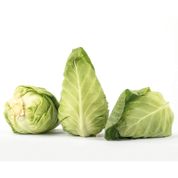 Spitzkohl (Kiloware)