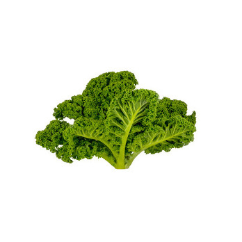 Grünkohl