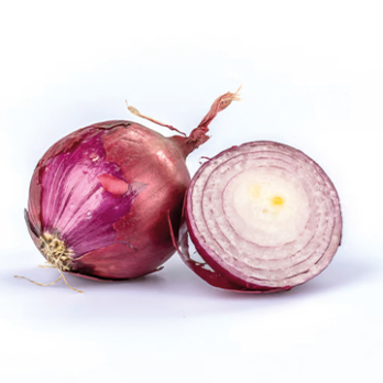 Zwiebeln rot
